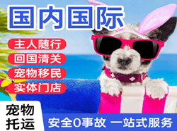 澜沧景迈空运国际宠物托运 【国